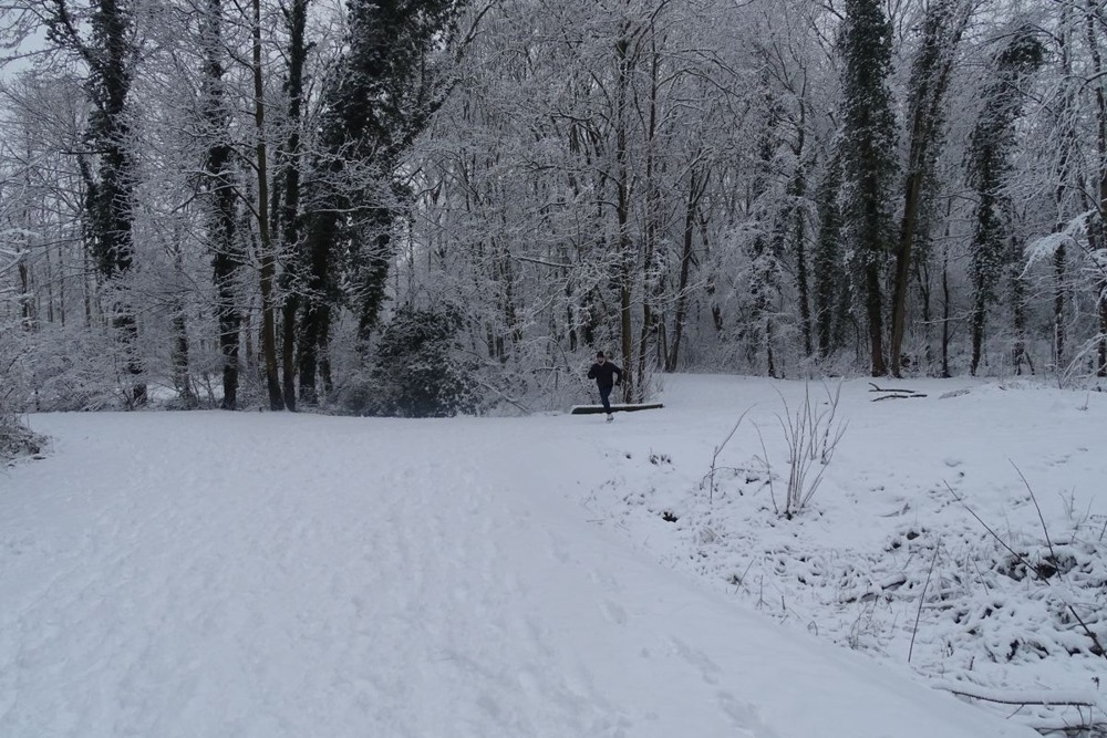 Paisagem de inverno