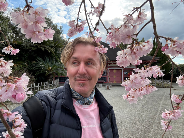 ピンク色の桜の枝に囲まれた男性の自撮り写真